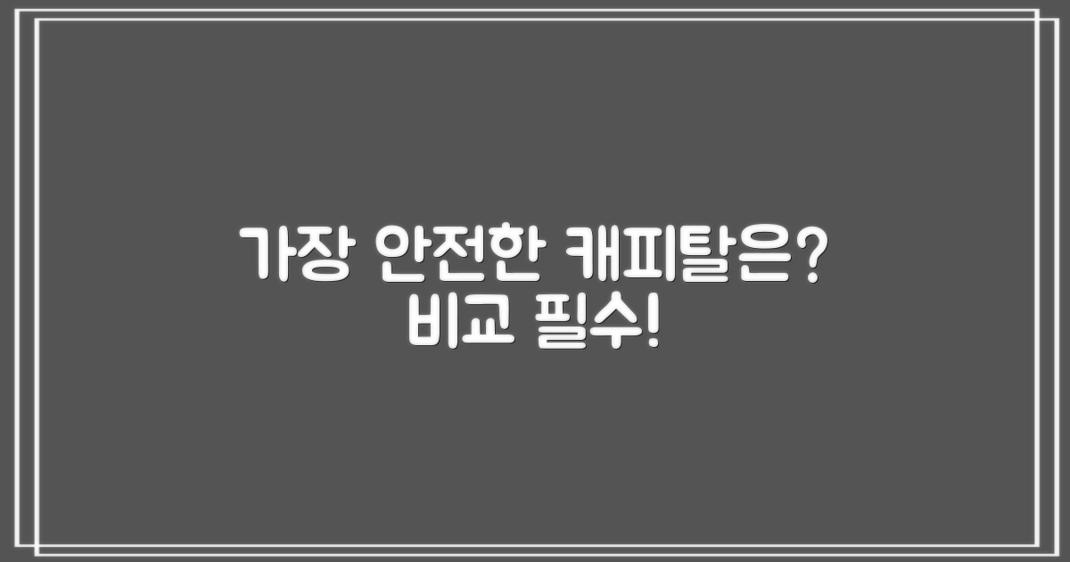 가장 안전한 캐피탈은?