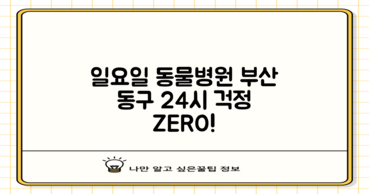 일요일 긴급 진료, 걱정 없이! 부산 동구 24시 동물병원 활용 가이드
