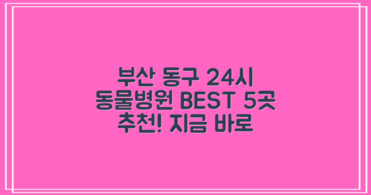 부산 동구 동물병원 BEST 5, 24시 진료!