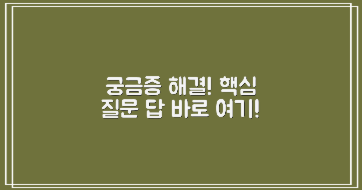 자주 묻는 질문
